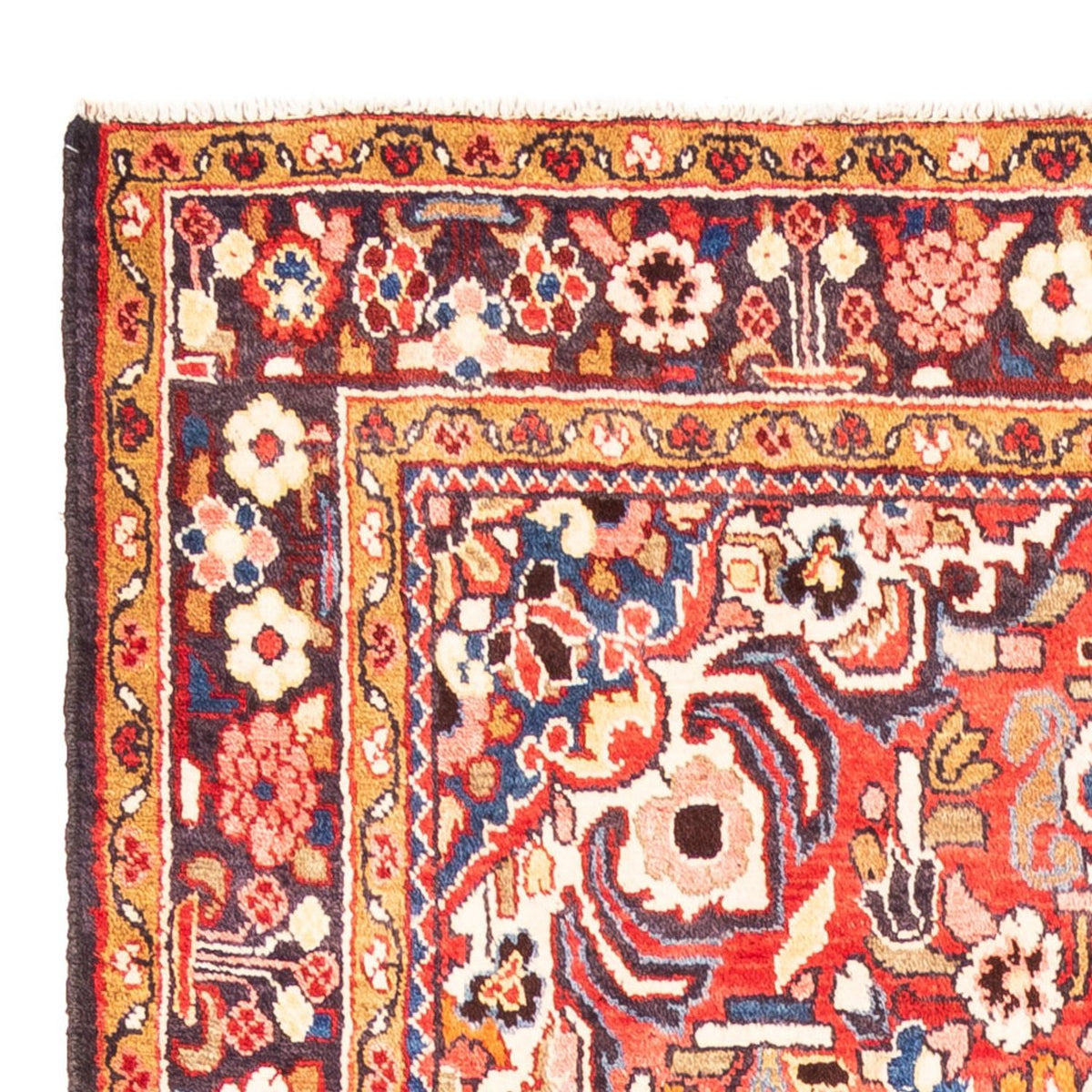 Hosseinabad Teppe 160x310cm - Persisk teppe