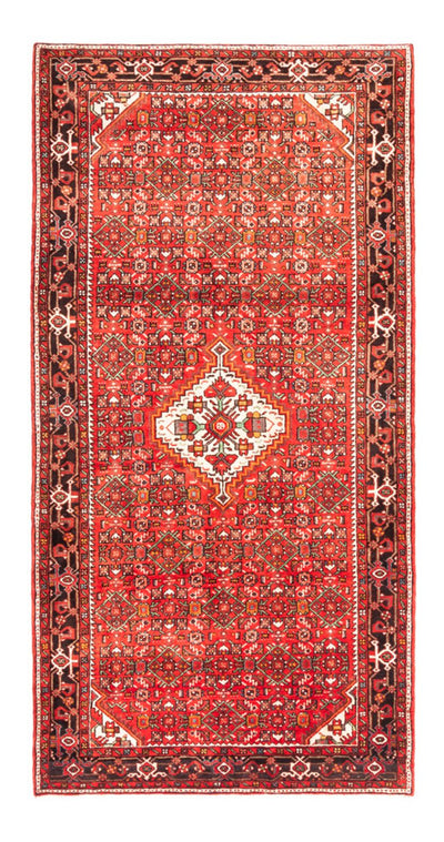 Hosseinabad Teppe 160x313cm - Persisk teppe