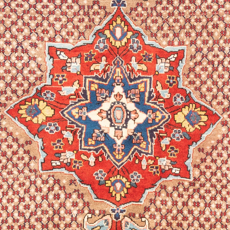 Kolyai Teppe 320x160cm - Persisk teppe