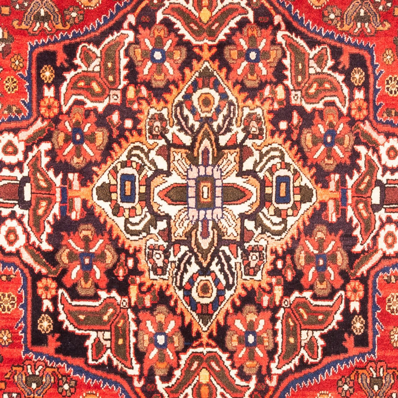 Bakhtiari Teppe 300x175cm - Persisk teppe