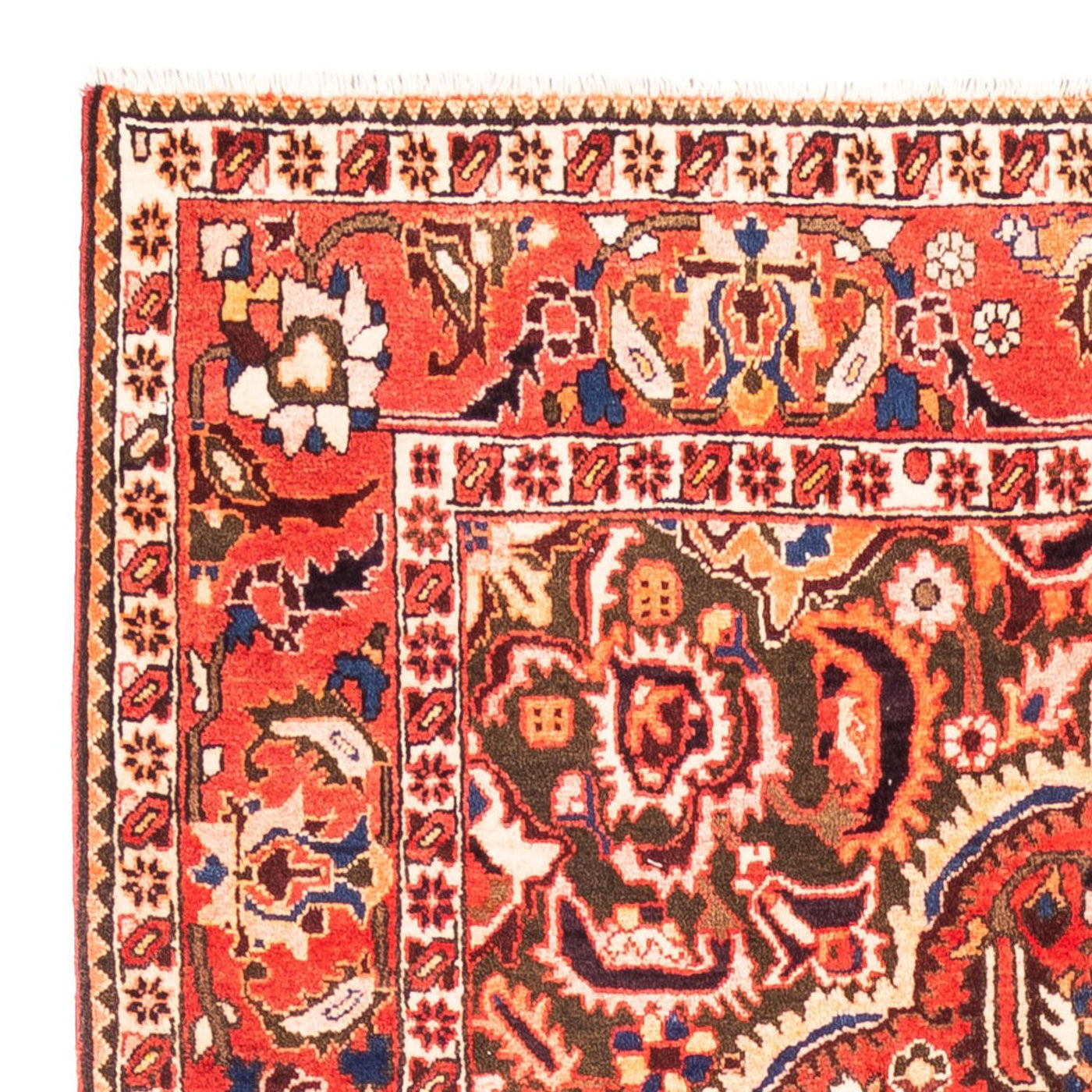 Bakhtiari Teppe 300x175cm - Persisk teppe