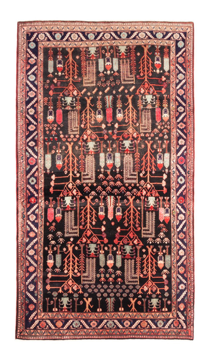 Kolyai Teppe 270x152cm - Persisk teppe