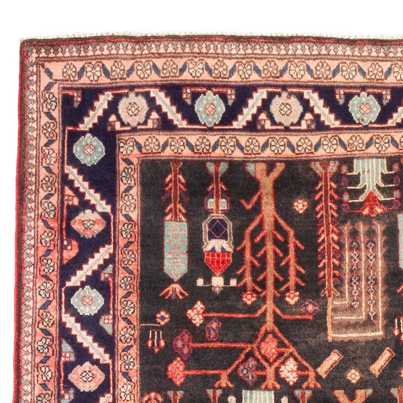 Kolyai Teppe 270x152cm - Persisk teppe