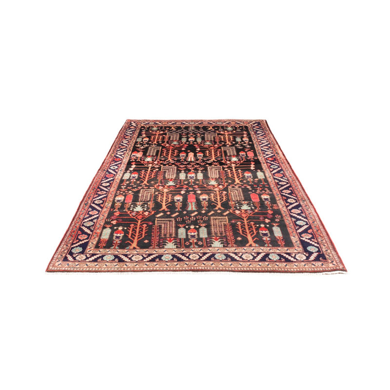 Kolyai Teppe 270x152cm - Persisk teppe