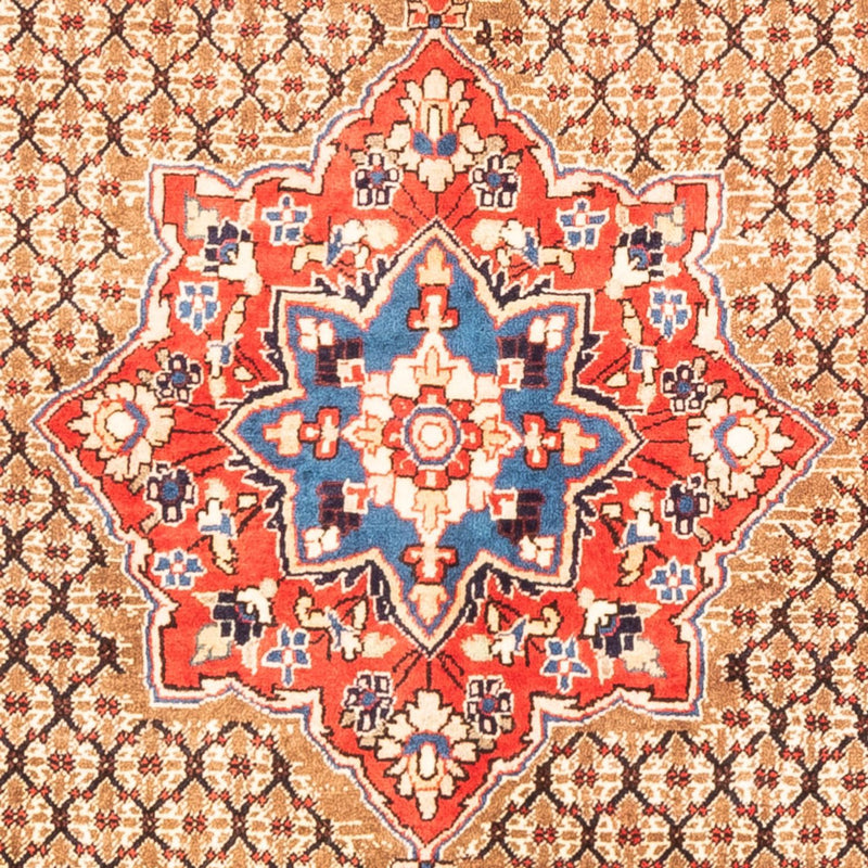 Kolyai Teppe 310x158cm - Persisk teppe