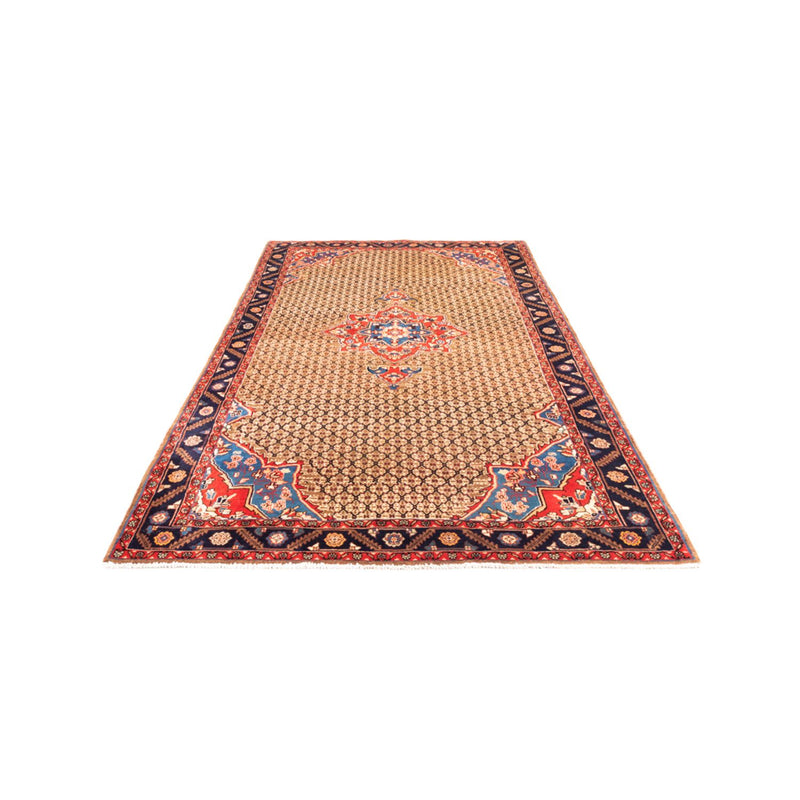 Kolyai Teppe 310x158cm - Persisk teppe