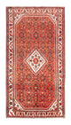 Hosseinabad Teppe 296x156cm - Persisk teppe