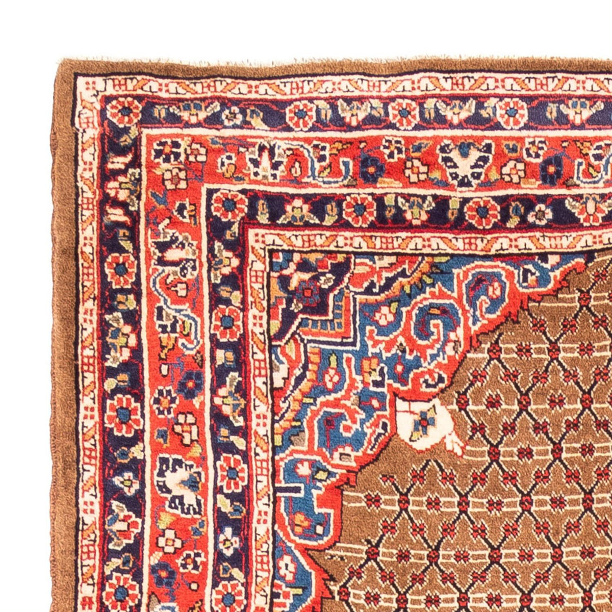 Kolyai Teppe 164x312cm - Persisk teppe