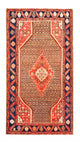 Kolyai Teppe 265x157cm - Persisk teppe