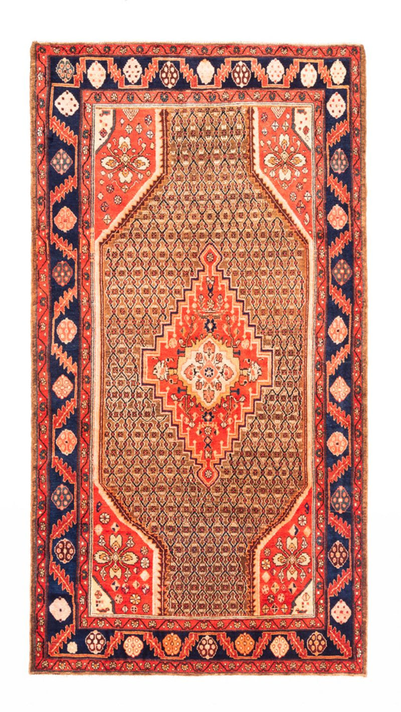 Kolyai Teppe 265x157cm - Persisk teppe