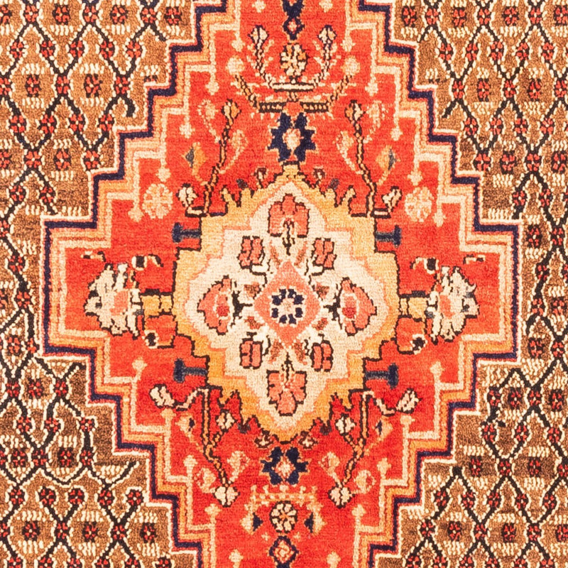 Kolyai Teppe 265x157cm - Persisk teppe