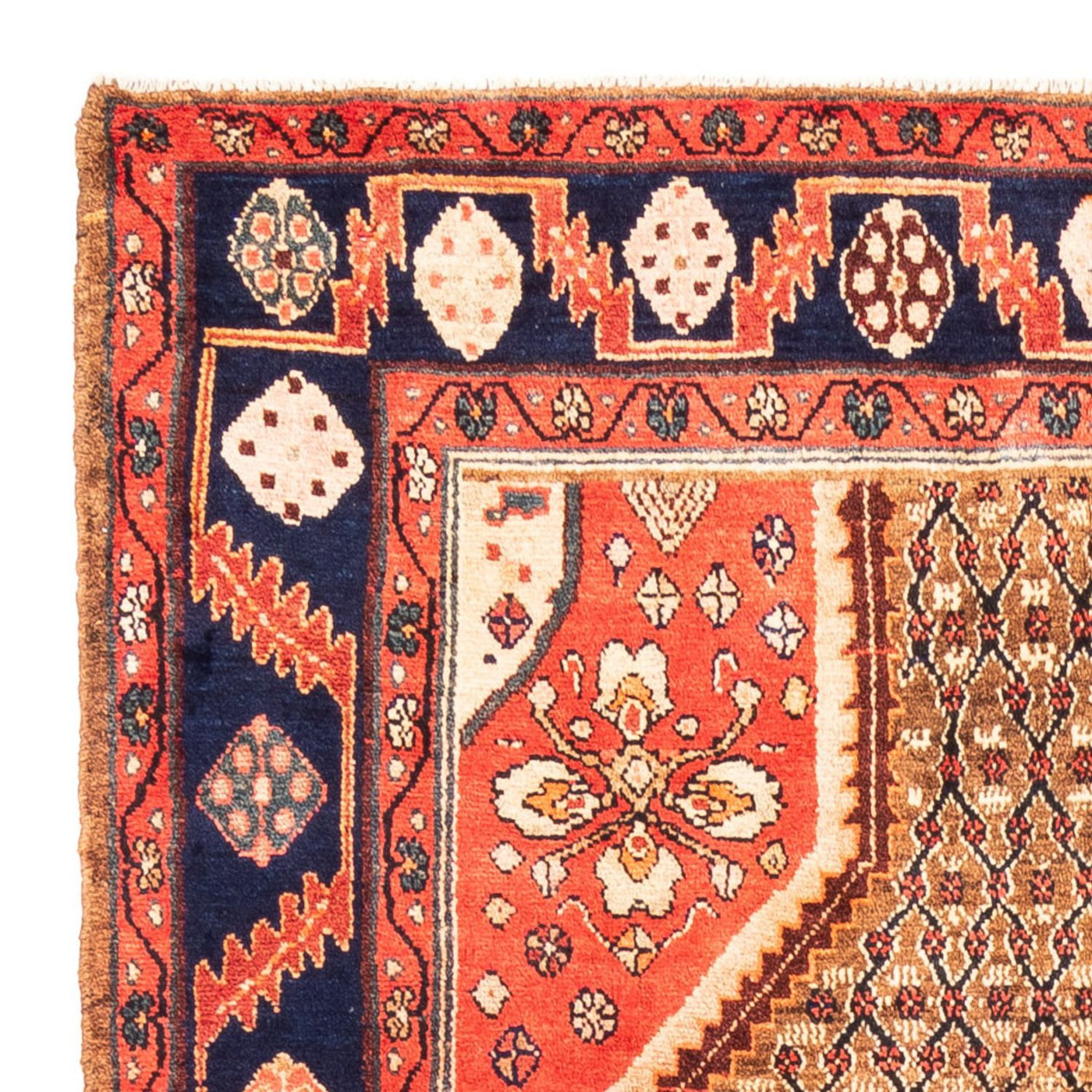 Kolyai Teppe 265x157cm - Persisk teppe