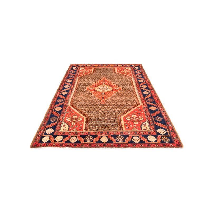 Kolyai Teppe 265x157cm - Persisk teppe