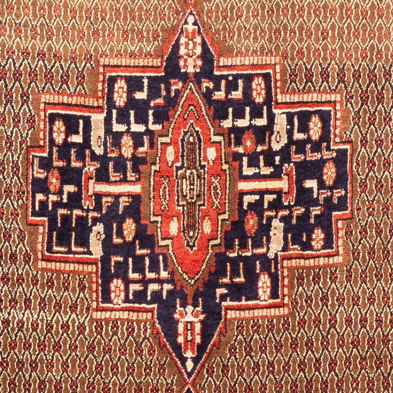 Kolyai Teppe 307x160cm - Persisk teppe