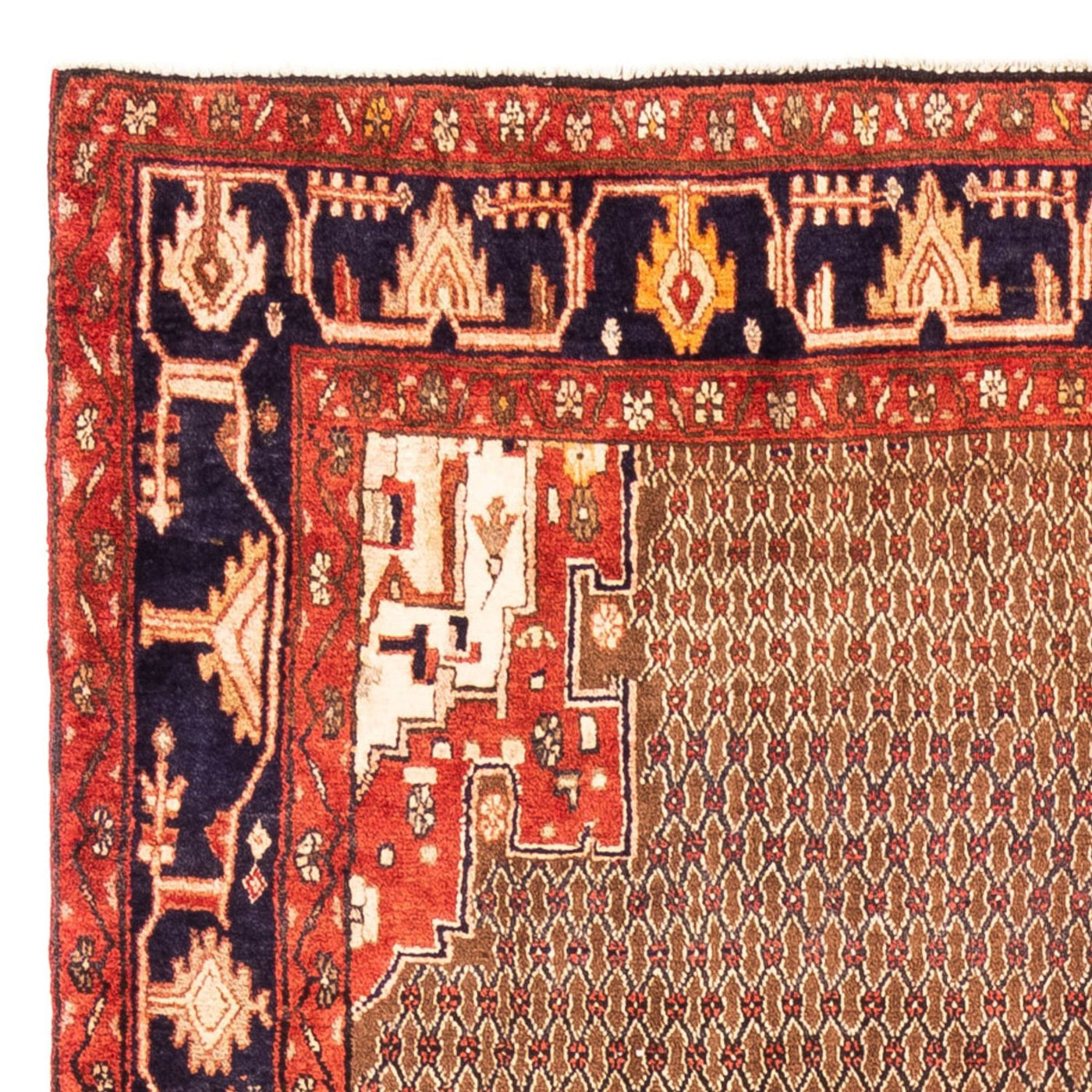 Kolyai Teppe 307x160cm - Persisk teppe
