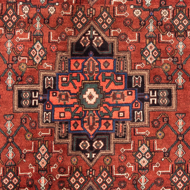 Kolyai Teppe 270x160cm - Persisk teppe
