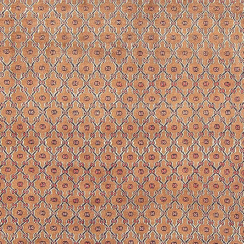 Kolyai Teppe 290x150cm - Persisk teppe