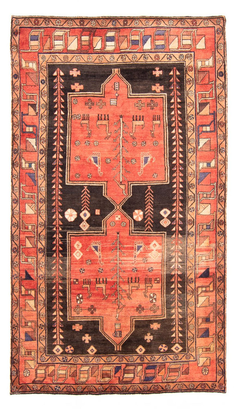 Kolyai Teppe 163x284cm - Persisk teppe