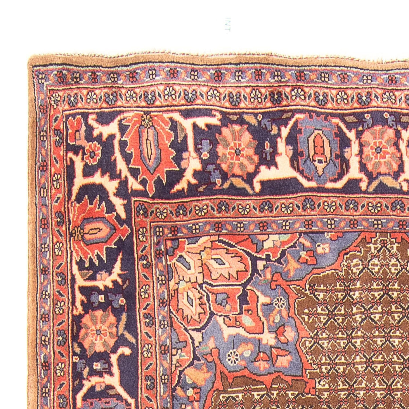 Kolyai Teppe 295x157cm - Persisk teppe