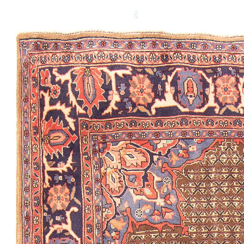 Kolyai Teppe 295x157cm - Persisk teppe