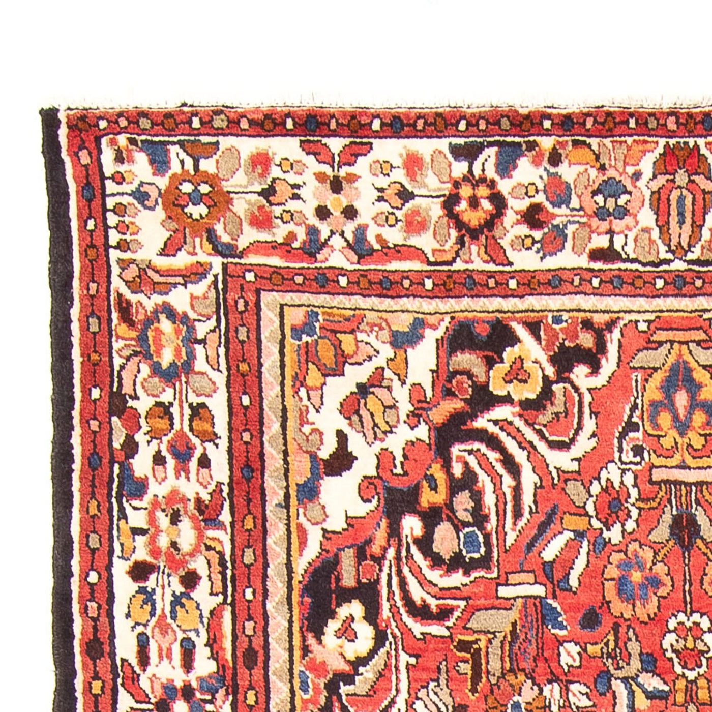 Hamadan Teppe 300x158cm - Persisk teppe