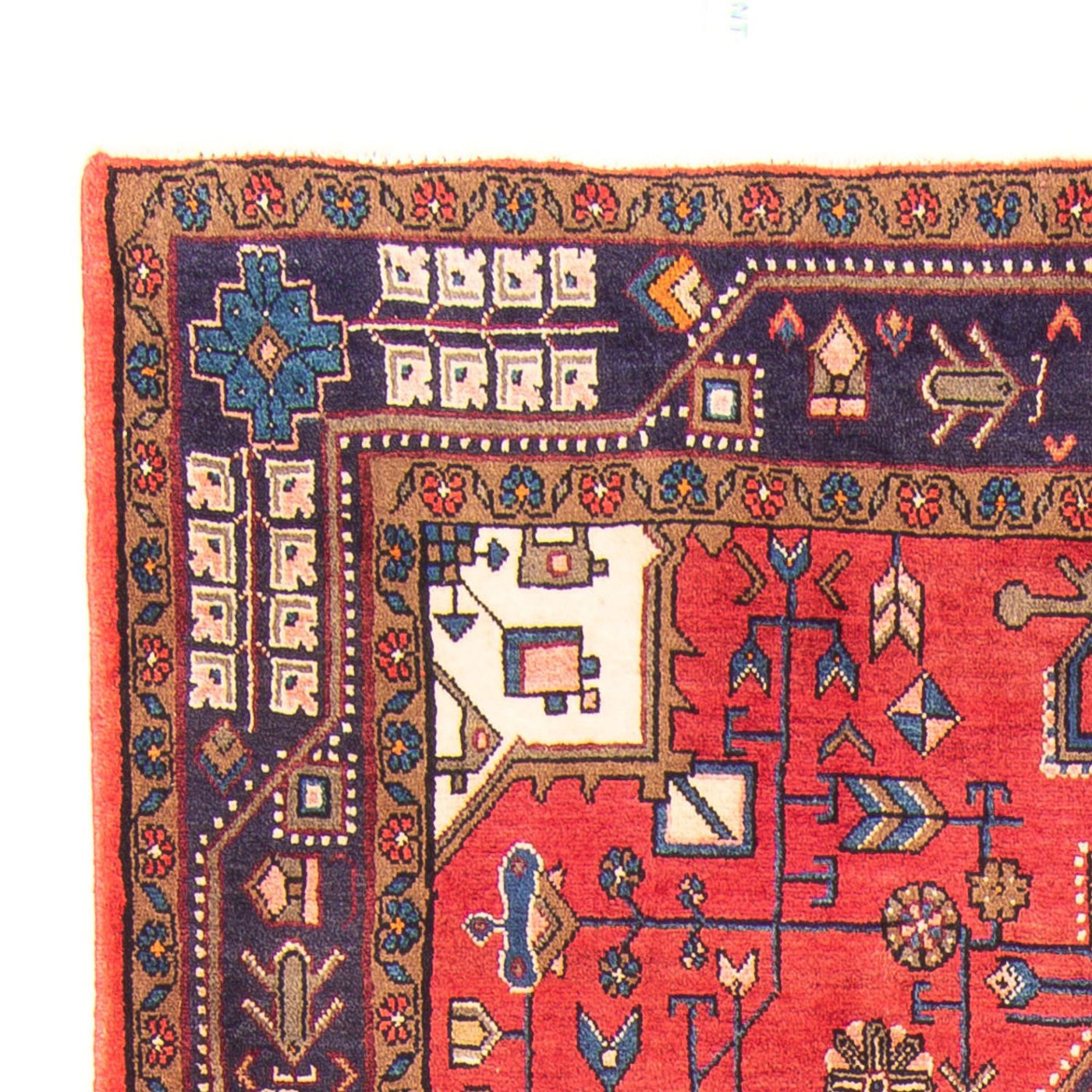 Kolyai Teppe 257x150cm - Persisk teppe