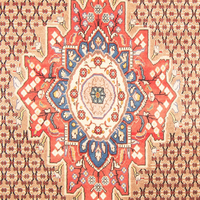 Kolyai Teppe 310x150cm - Persisk teppe
