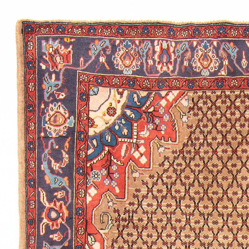 Kolyai Teppe 310x150cm - Persisk teppe