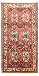 Bakhtiari Teppe 300x166cm - Persisk teppe