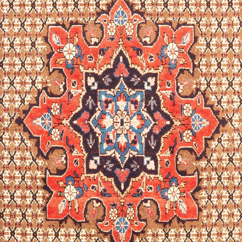 Kolyai Teppe 300x157cm - Persisk teppe