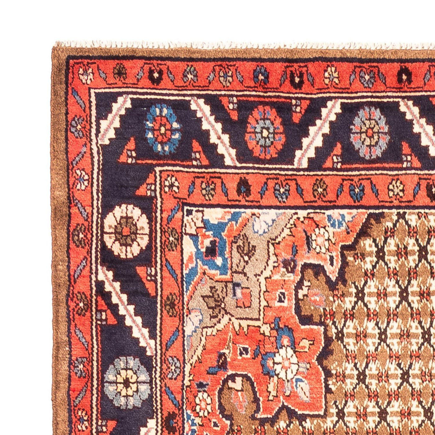 Kolyai Teppe 300x157cm - Persisk teppe