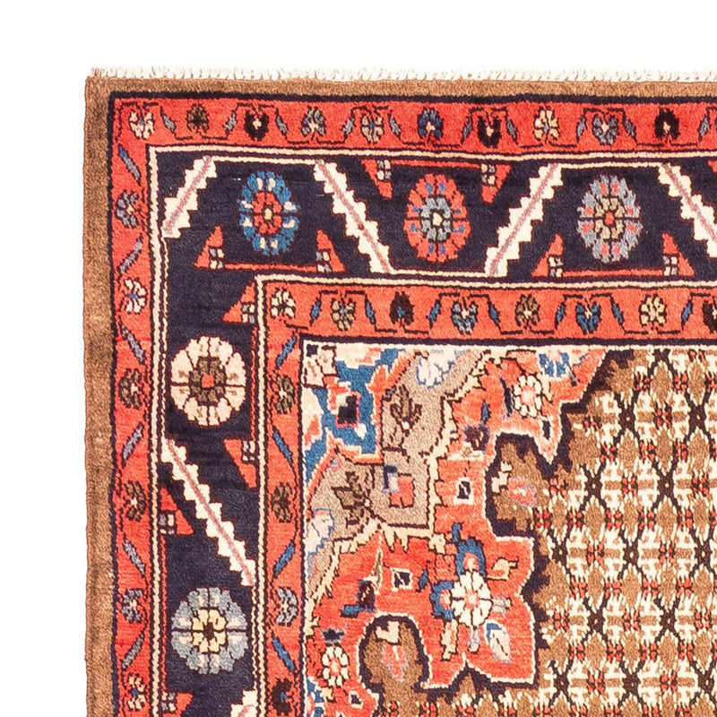 Kolyai Teppe 300x157cm - Persisk teppe