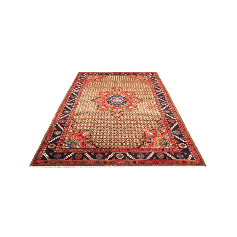 Kolyai Teppe 300x157cm - Persisk teppe