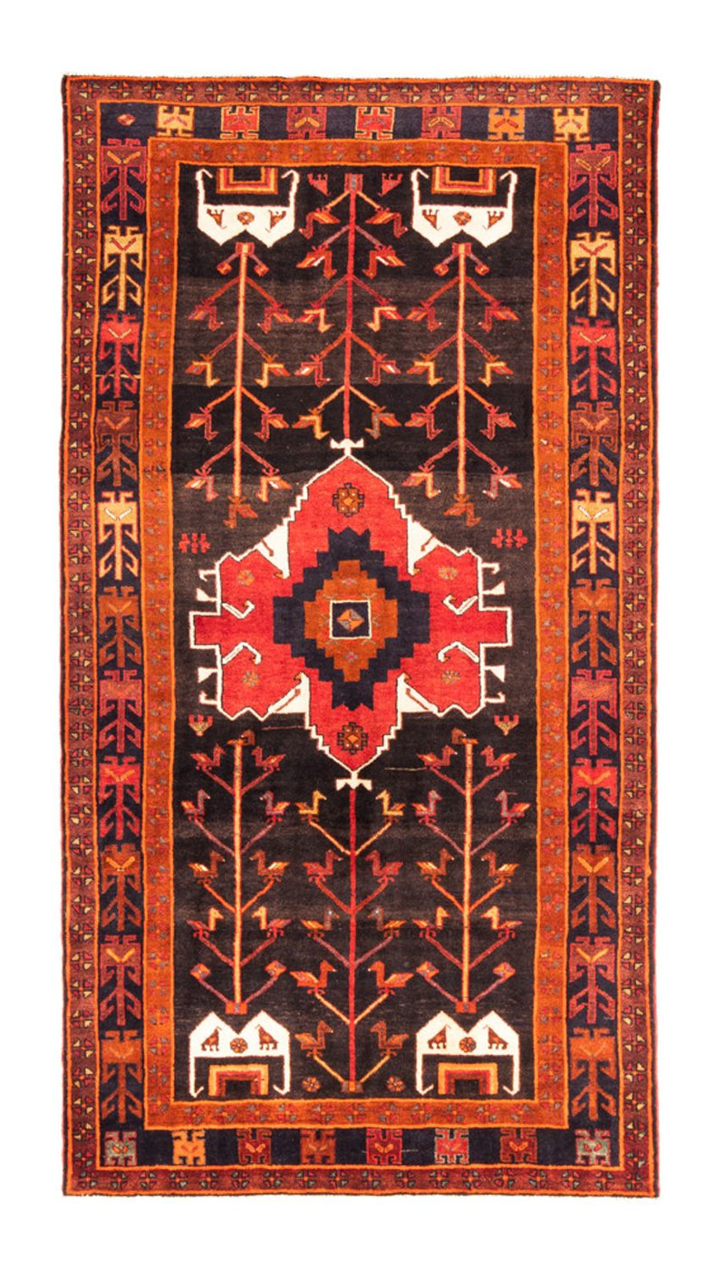 Kolyai Teppe 303x162cm - Persisk teppe