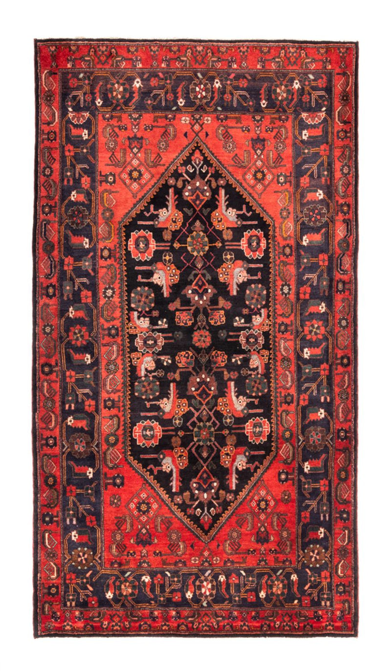 Kolyai Teppe 300x170cm - Persisk teppe