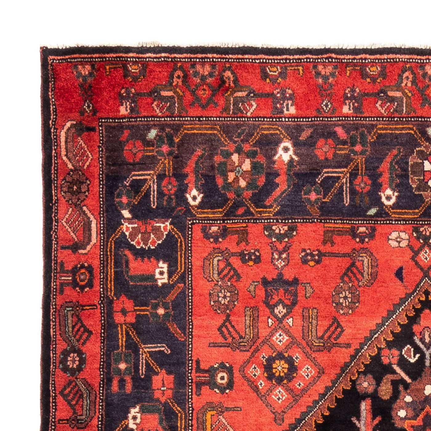 Kolyai Teppe 300x170cm - Persisk teppe