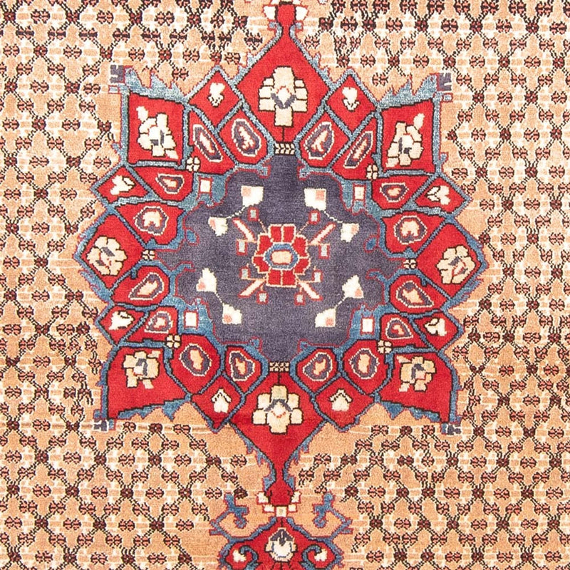 Kolyai Teppe 290x150cm - Persisk teppe