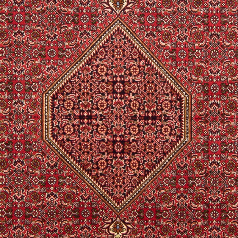 Bidjar - Bukan Teppe 290x192cm - Persisk teppe