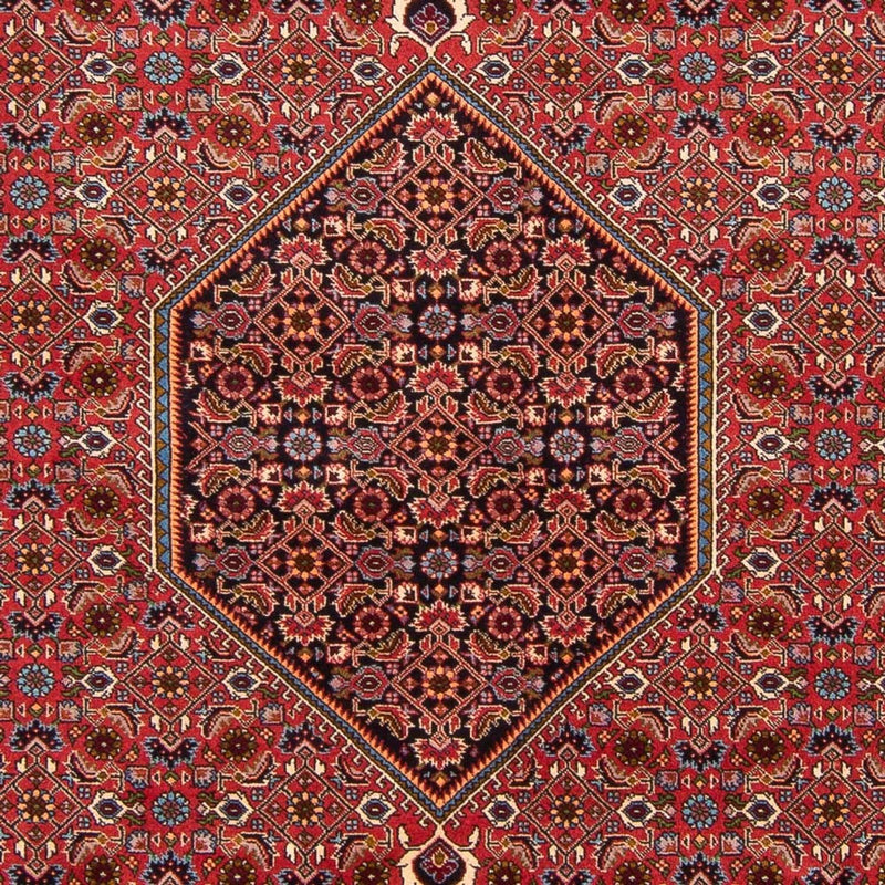 Bidjar - Bukan Teppe 301x200cm - Persisk teppe