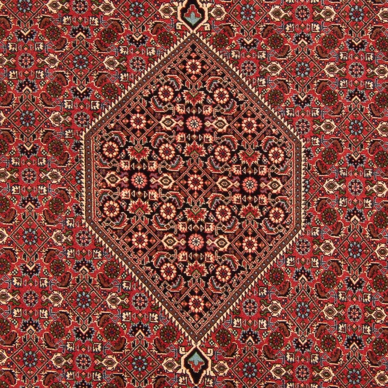 Bidjar - Bukan Teppe 293x200cm - Persisk teppe