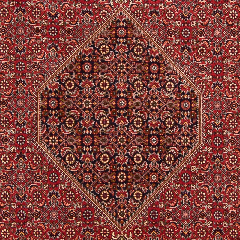 Bidjar - Bukan Teppe 300x201cm - Persisk teppe
