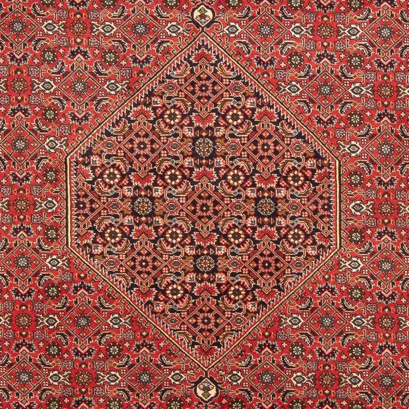 Bidjar - Bukan Teppe 298x197cm - Persisk teppe