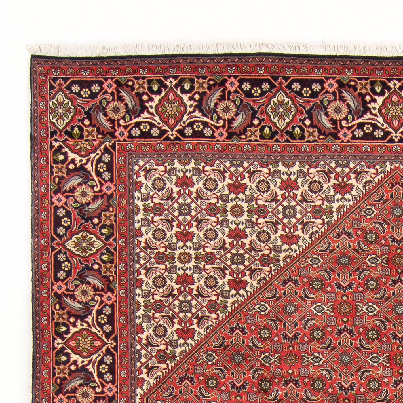 Bidjar - Bukan Teppe 298x197cm - Persisk teppe