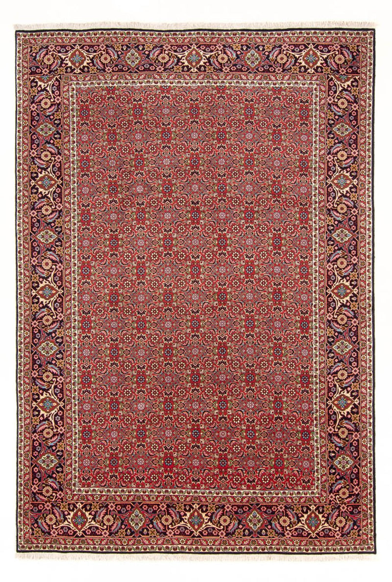 Bidjar - Bukan Teppe 290x198cm - Persisk teppe