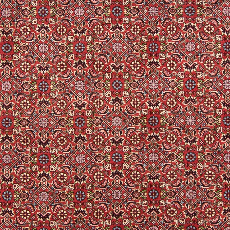 Bidjar - Bukan Teppe 290x198cm - Persisk teppe