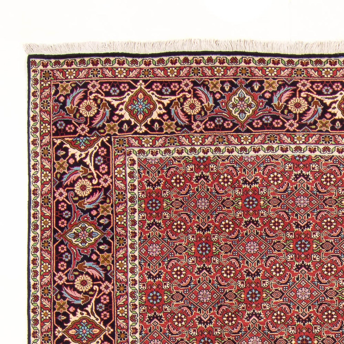 Bidjar - Bukan Teppe 290x198cm - Persisk teppe