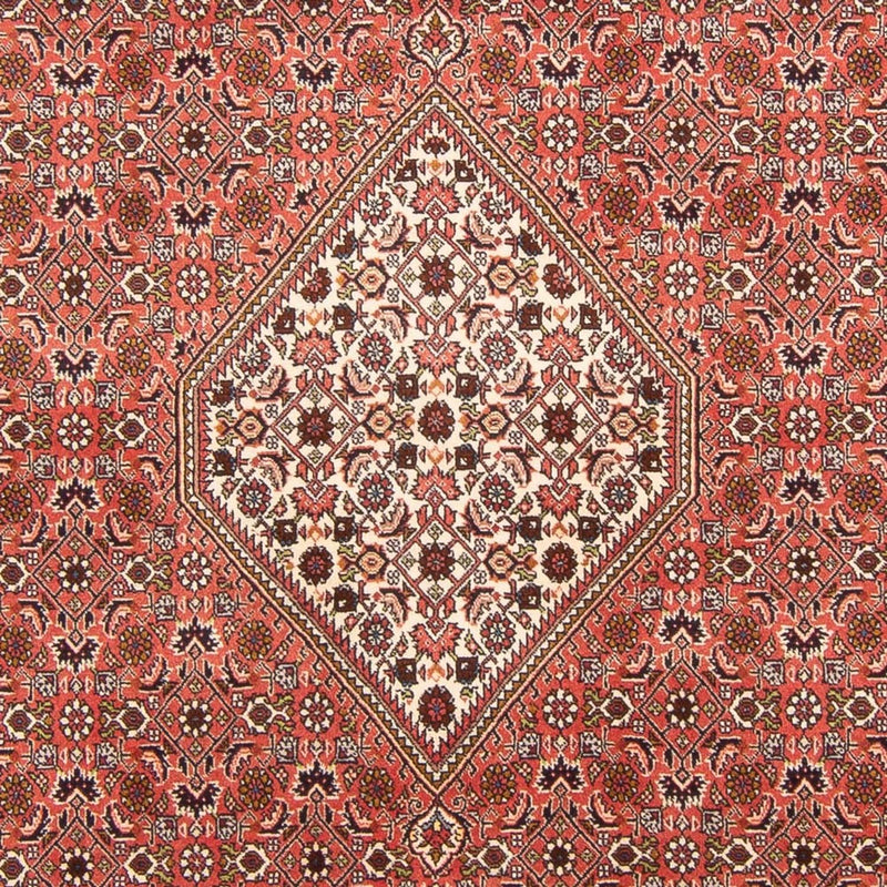 Bidjar - Bukan Teppe 300x202cm - Persisk teppe