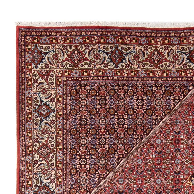 Bidjar - Bukan Teppe 250x337cm - Persisk teppe