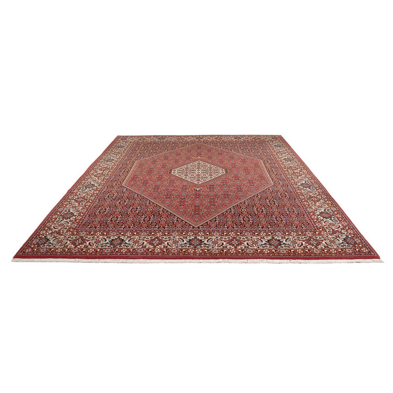 Bidjar - Bukan Teppe 250x337cm - Persisk teppe