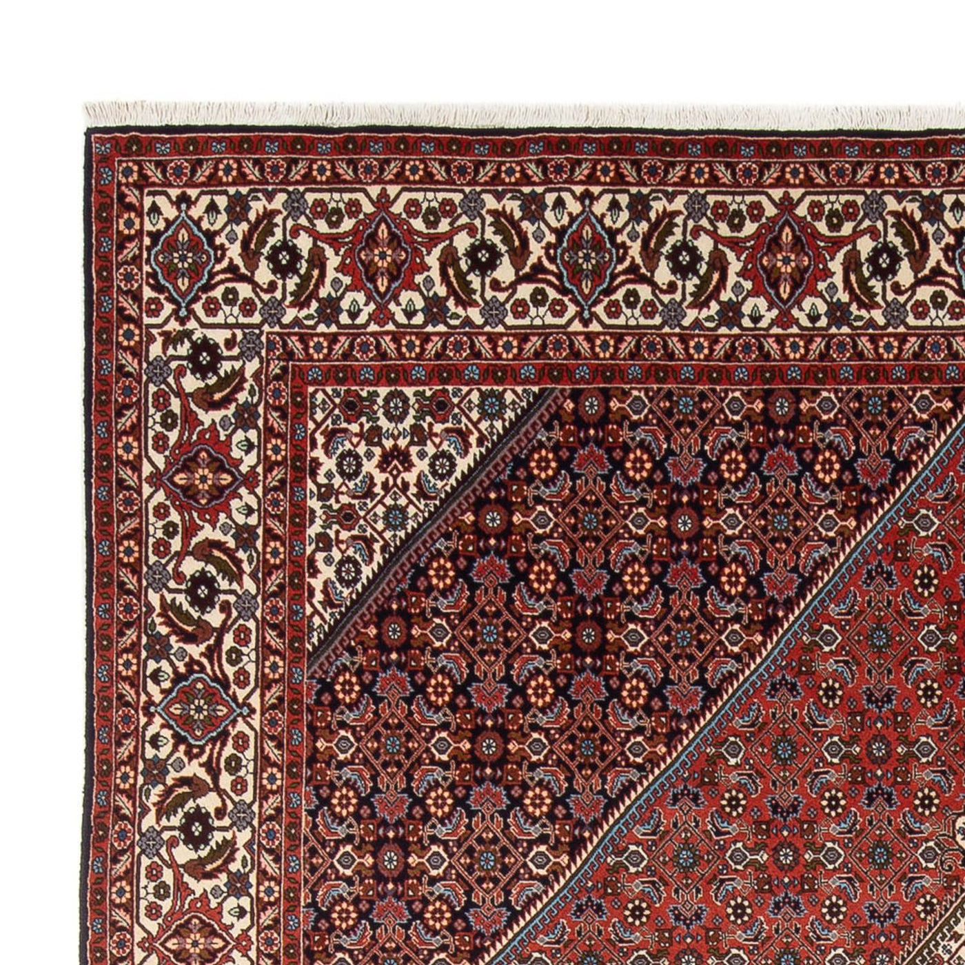 Bidjar - Bukan Teppe 290x243cm - Persisk teppe